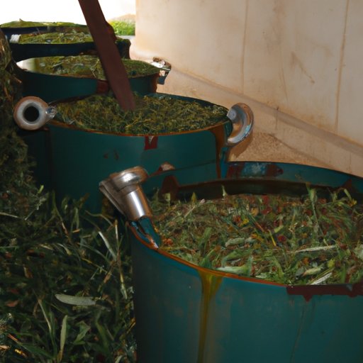 A Look at Olive Oil Culture