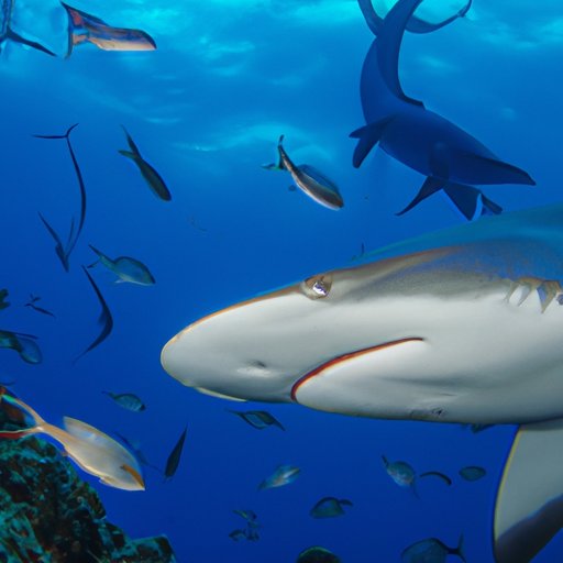 Unmasking the Hammerhead: A Look at the Mysterious Masked Dancer