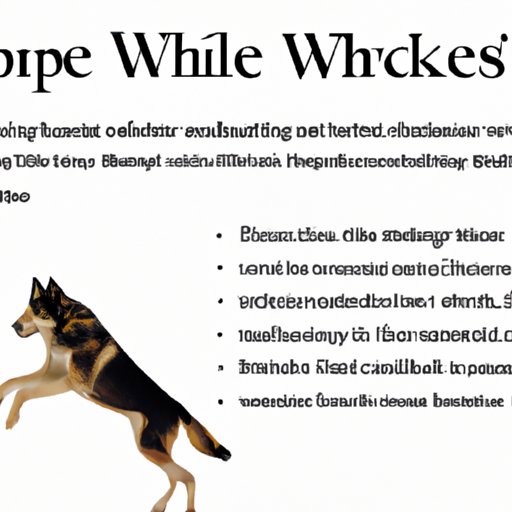 Examining the Cultural Impact of Dances with Wolves
