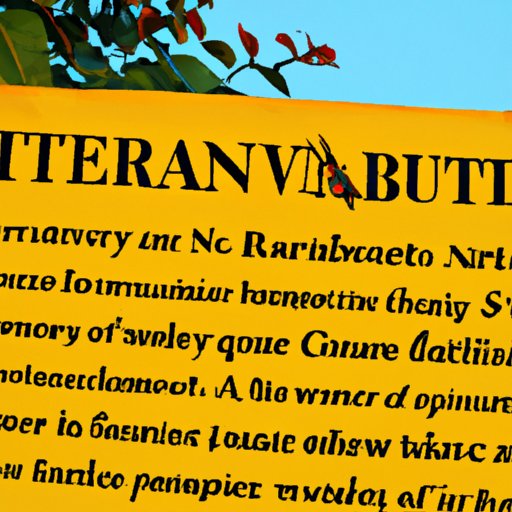 Summary of Benefits and Drawbacks of Investing in Annuities