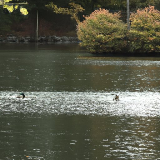 A Look at the Iconic Performances in On Golden Pond