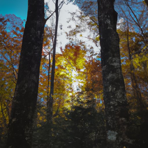 Highlights from the Entire Season