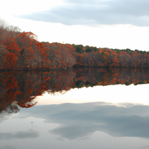 Reflection on What Made This Season Unique