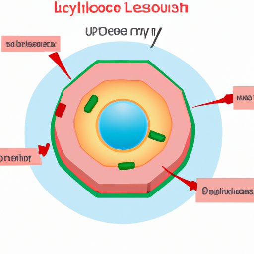 Lysosomes are Essential for Programmed Cell Death