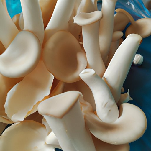 The Benefits of Eating Mushrooms for Digestive Health