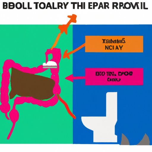 An Exploration of the Physiological Effects of Traveling and How It Can Impact Bowel Movements