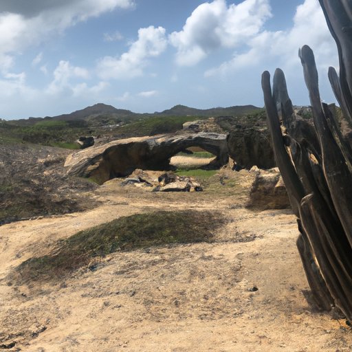 Explore the Unique Natural Wonders of Aruba