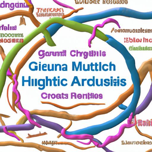 Connection between Gut Health and Chronic Diseases