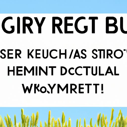 Ways to Improve Gut Health