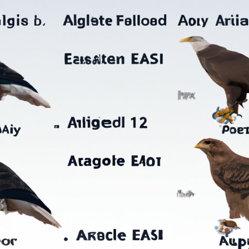 Comparing the Eagles to Other Bands That Have Toured in Recent Years