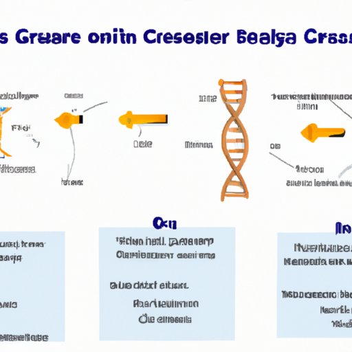 An Overview of Crispr Cas9 and Its Potential Uses