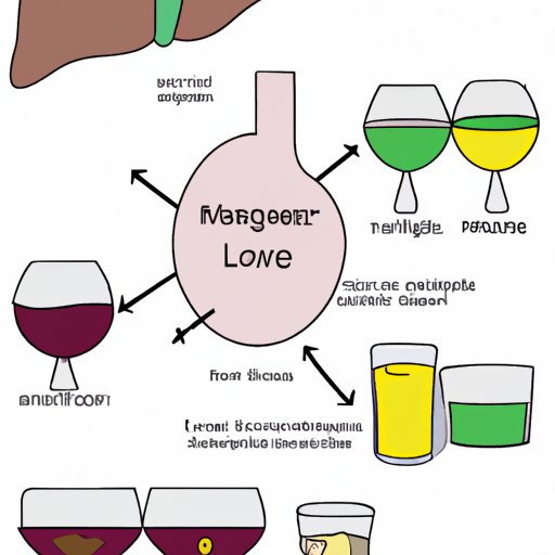 Understanding How the Liver Processes Alcohol: The Role of Moderation