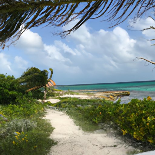 Reasons to Visit the Vacation Isle