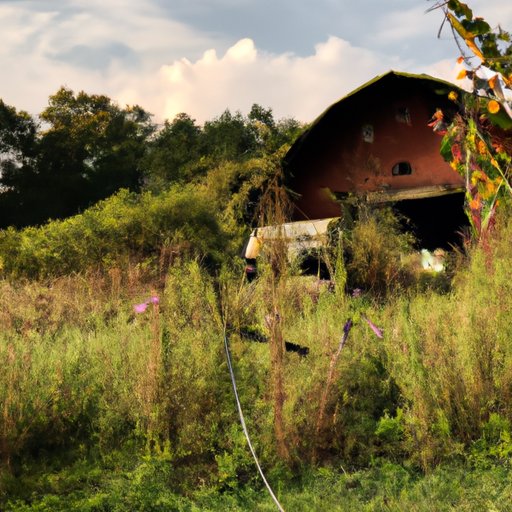 Local Flavor: Discovering the Hidden Gems Along a Road Less Traveled