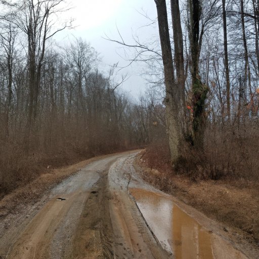 Exploring the Unknown: An Adventure Down a Road Less Traveled