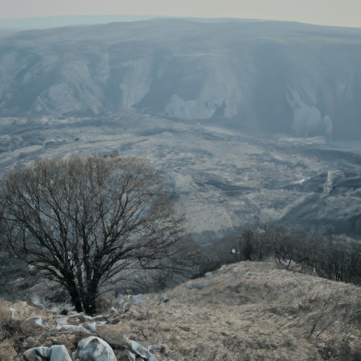 Review of A Serbian Film: A Cinematic Exploration of Human Nature