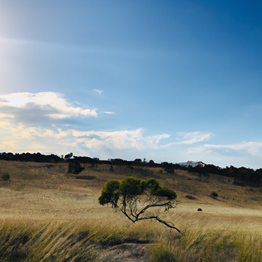 Exploring the Land of Oz