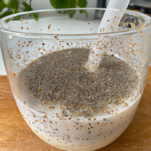 Chia Seed Recipes: Healthy and Delicious