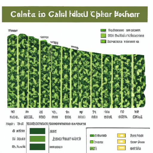 Overview of the Nutritional Value of Collard Greens