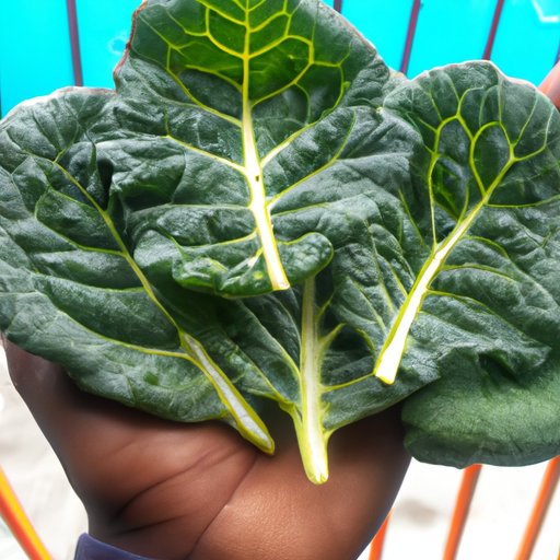How Eating Collard Greens Can Improve Your Health
