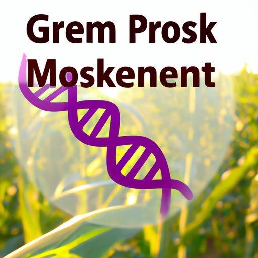 Exploring the Health Risks Associated with GM Foods