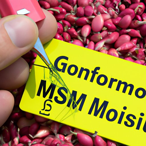 Examining the Role of Science in Determining the Safety of GM Foods