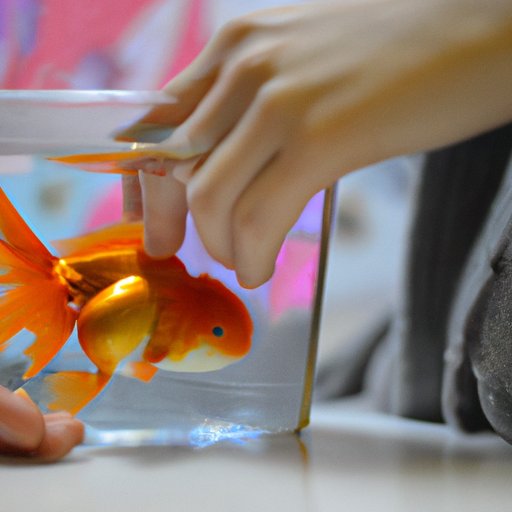 Examining the Benefits of Owning a Goldfish