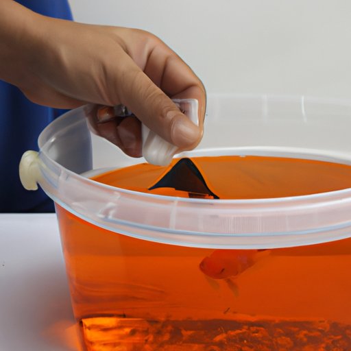 Tips for Maintaining a Clean Environment for Your Goldfish