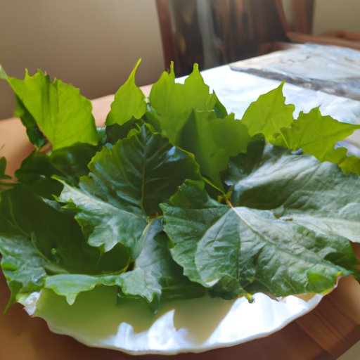 Health Benefits of Including Grape Leaves in Your Diet