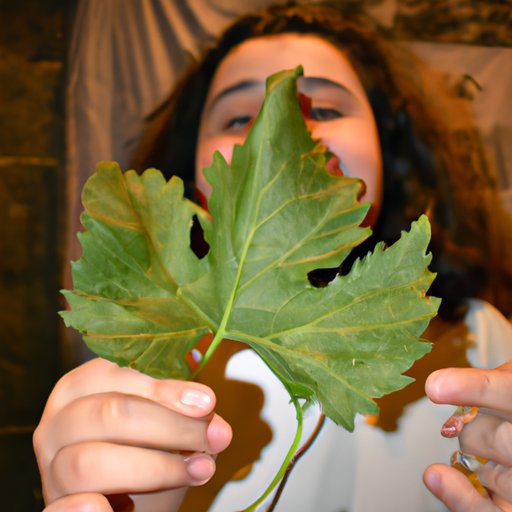 Exploring the Nutritional Benefits of Eating Grape Leaves