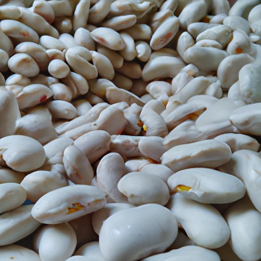 Health Benefits of Eating Great Northern Beans Regularly