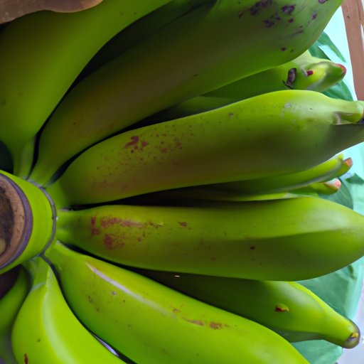 Investigating the Healthiness of Green Bananas