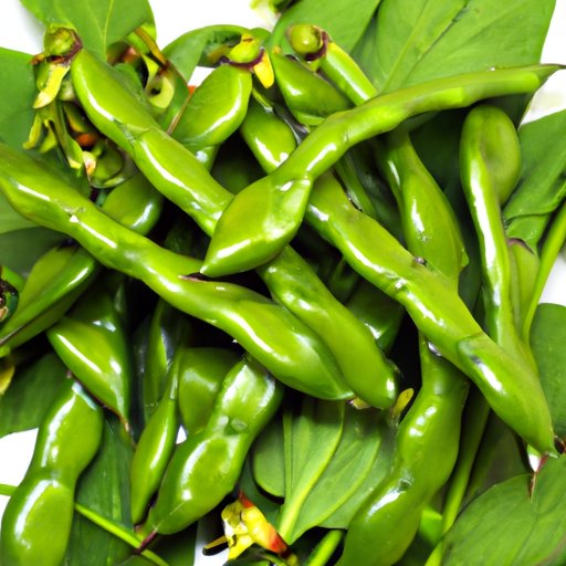 The Pros and Cons of Harvest Snaps for Healthy Eating