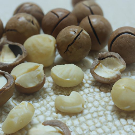 How Macadamia Nuts Help Improve Overall Wellness