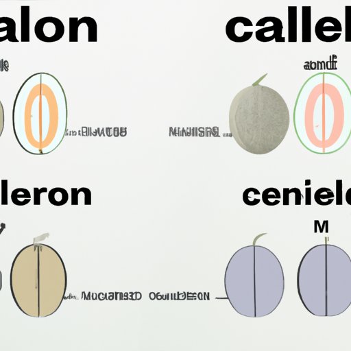 The Nutritional Value of Different Types of Melons