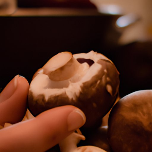 Exploring the Nutritional Benefits of Mushrooms