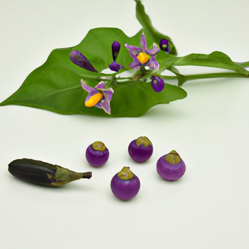 A Look at the History of Nightshades in Diet and Medicine