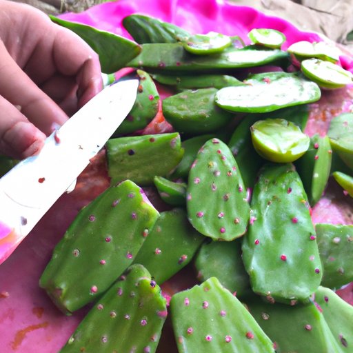 How Nopales Can Enhance Your Diet