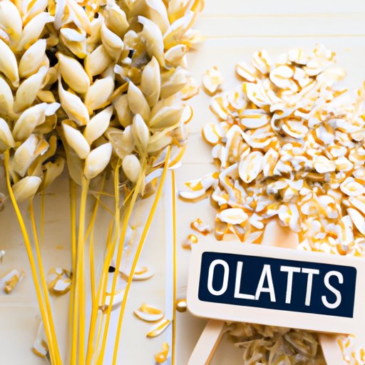 How Oats Can Help You Lose Weight