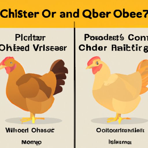 A Comparison of Rotisserie Chicken vs. Other Types of Chicken