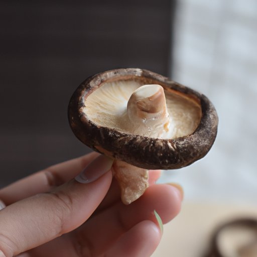 Exploring the Health Benefits of Shiitake Mushrooms
