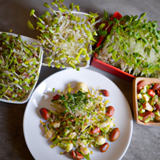 Easy Recipes for Enjoying Sprouts