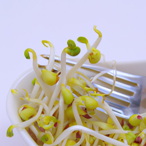 Potential Health Risks of Eating Sprouts