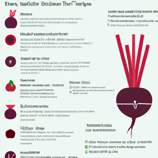 A Comprehensive Guide to the Nutritional Value of Super Beets