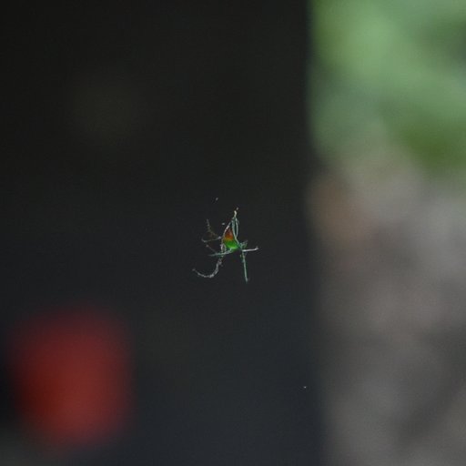 The Physics Behind Web Shooters