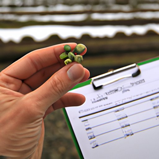 Investigating the History and Origin of Wasabi Peas