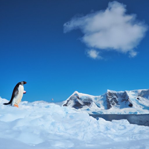 What You Need to Know Before Traveling to Antarctica