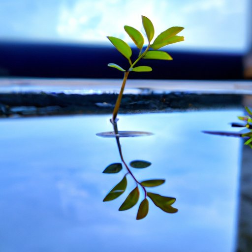 The Power of Are You Gonna Kiss Me or Not for Reflection and Growth