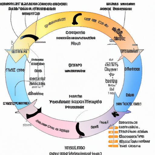 A Guide to Understanding Your Cycle and Fertility