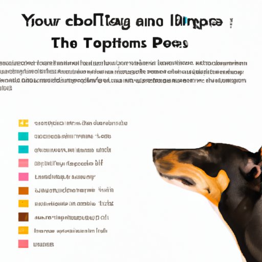 Are You Supposed to Tip Dog Groomers? Exploring the Pros and Cons The